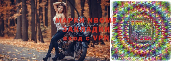 ешки Инта