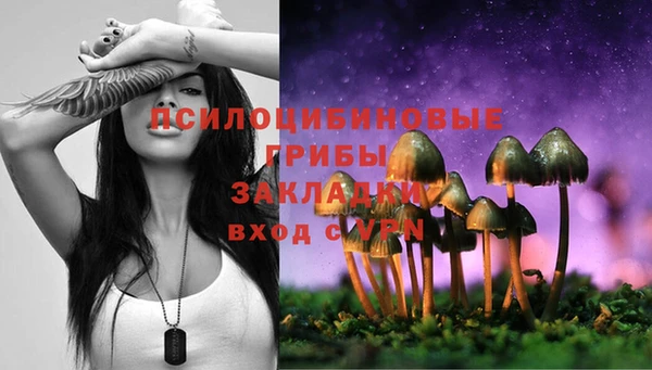крисы Абинск