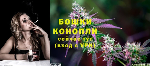 таблы Гусев