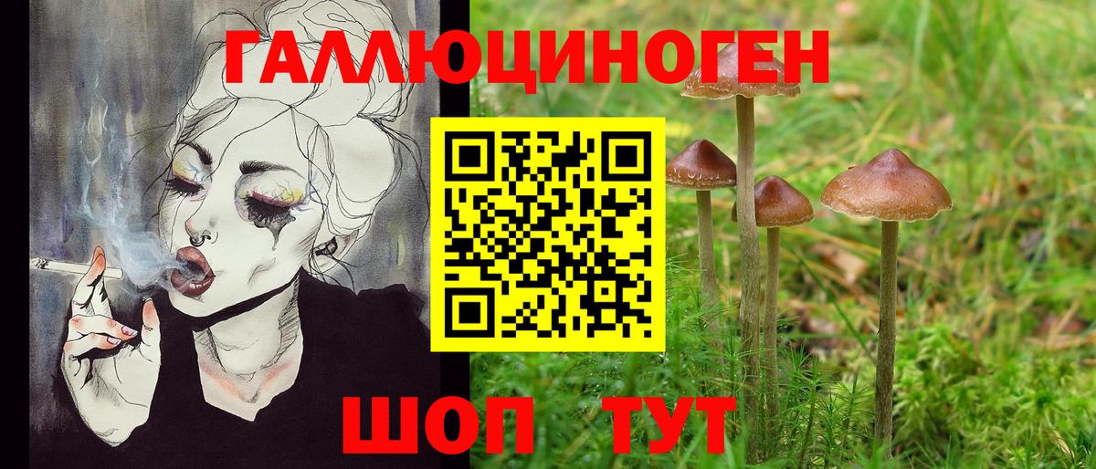 Псилоцибиновые грибы ЛСД  Вход с VPN  наркота  Новочебоксарск 