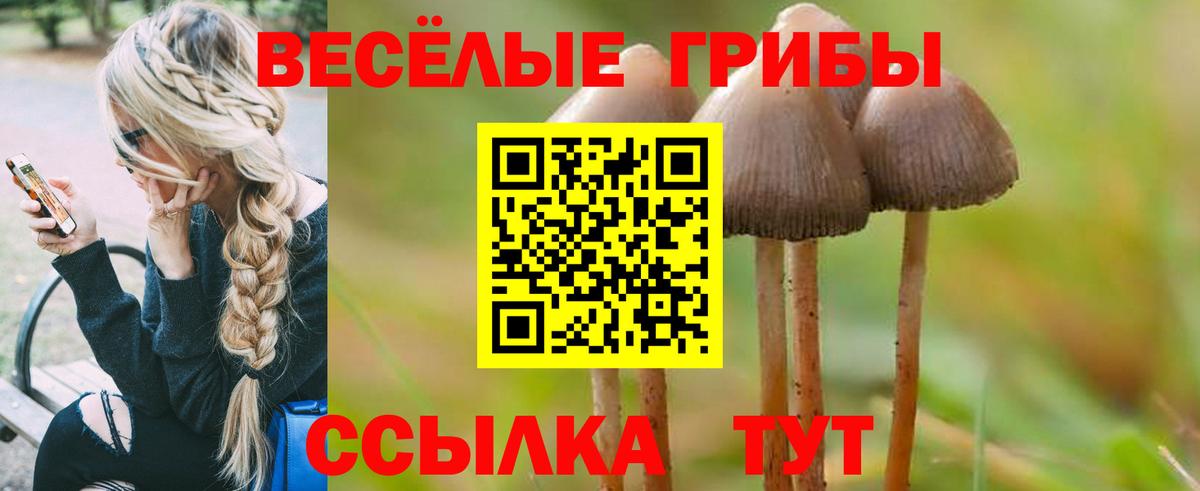 Псилоцибиновые грибы Magic Shrooms Новочебоксарск